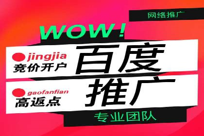 竞价推广策略：某电商平台的成功案例
